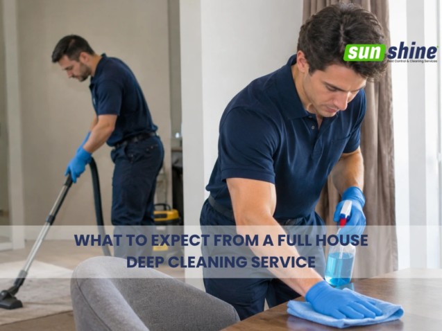 full house deep cleaning service
