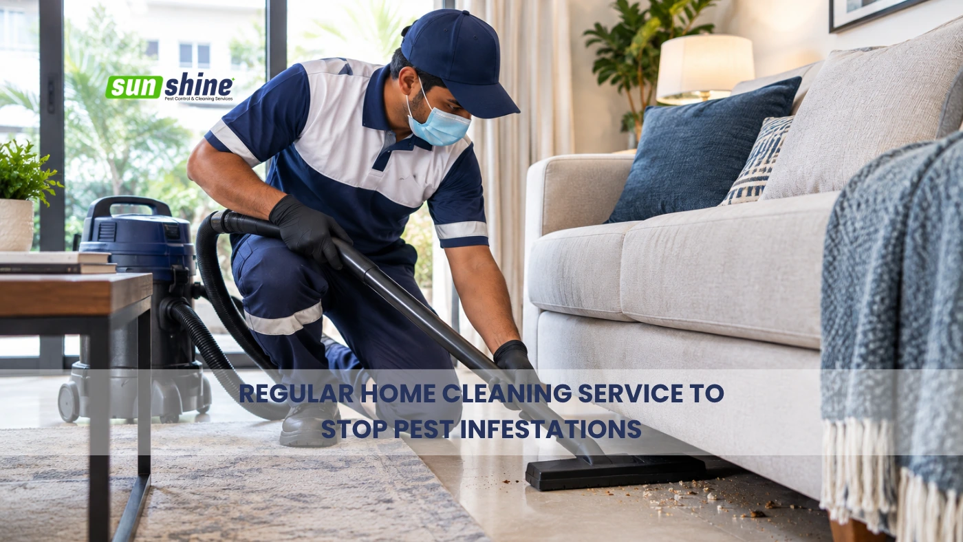 Regular home cleaning service prevents pests